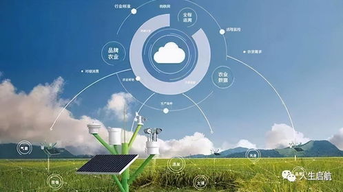 网络技术开发专业就业前景盘点 揭秘未来职业发展方向